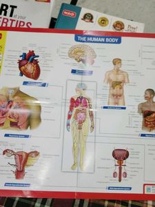 Objective NCERT at your Fingertips chemistry, biol
