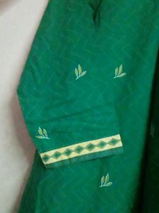 Womens Green Kurta Straight