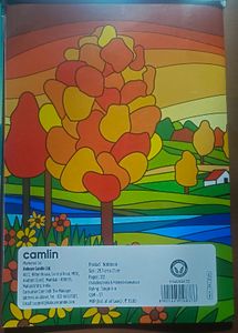 Camlin Single line Notebook GSM-57, 2 for ₹99