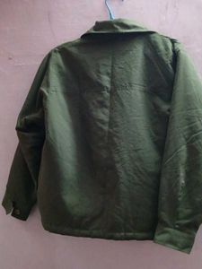 Olive Green Casual insulated winter Jacket