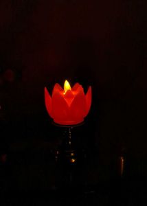 Lotus Flower LED Candles( any one)
