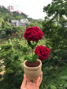 Handmade Crocheted Potted Flowers