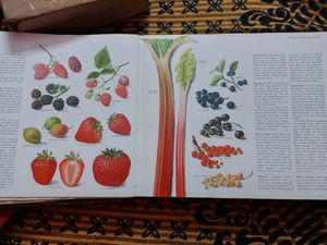 The Cookery Year 1974 Edition