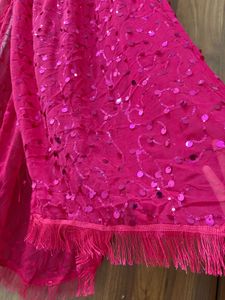 Gorgeous Pink Sequined Dupatta