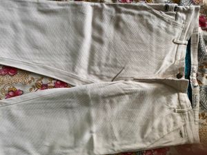 Formal Pant