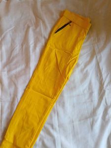 Bright Yellow Slim Fit Pants