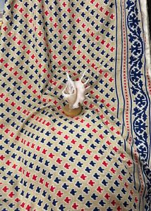 Pasmina Silk Saree 🤎