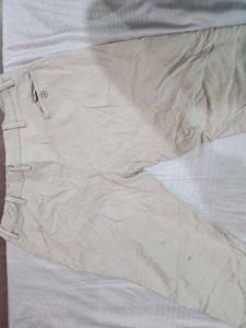 Classic Beige Pants