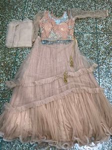 Elegant Lehenga Choli Set