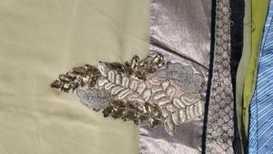 elegant sari with stitch blouse
