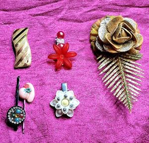 Combo Of 10,2 Saree Brooches, 6 hair Clips na wate