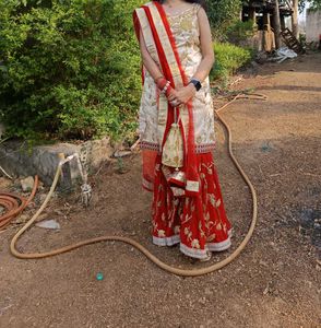 Elegant Golden red ♥️ 🍒 Indian Sharara Suit