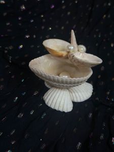 original Seashell Pearl jewellery organiser