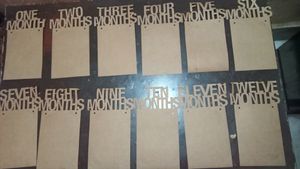 Photo Banner From First Month To 12th Mont