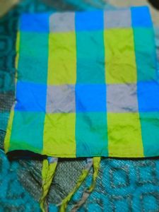 Colorful Checked Saree