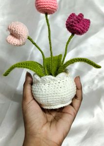 Crocheted Tulip Plant Decor