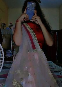 Gorgeous Indian Lehenga Choli