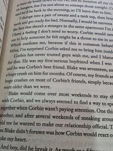 Ugly Love: A Novel