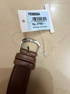 mens watch Peter England