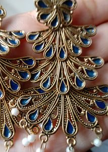 Beautiful Peacock Design Earrings