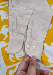 Brand New Seal Tag Formal Khaki Shirt  Sparky