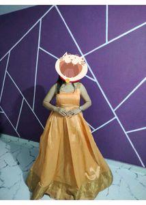Elegant Orange  gown