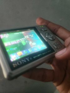 Compact Digital Camera with Case