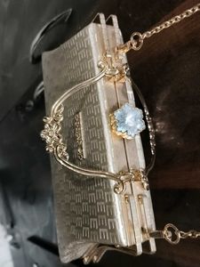 Elegant Clutch with Chain Strap