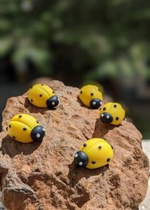 Set Of 6 Bug For Decor Purpose