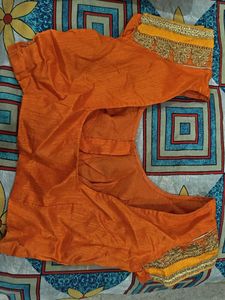 Orange Saree with Embellishments