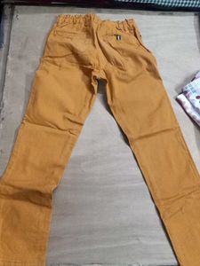 Stylish Mustard Color Pants