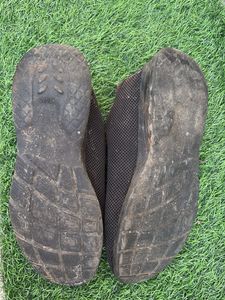 Skechers shoes