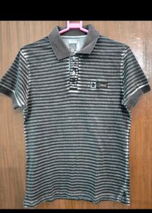 TURTLE T-shirt Chocolate Brown