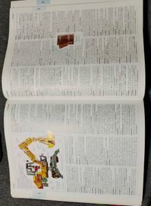 Illustrated Oxford Dictionary HC 2004