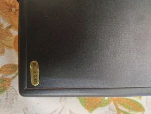 rare sonic adventure pins collectable item.