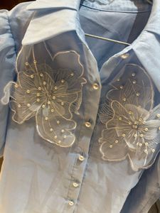 Organza Puff Sleeve top