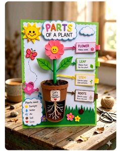 customise school projects👪