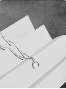 Double Layered Crescent Moon Necklace