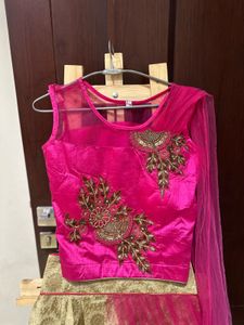 Brand New Designer Lehenga Choli