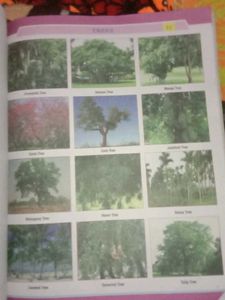 National Leaders of India Book