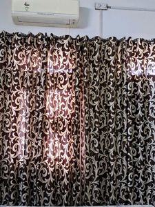 Door  🚪 Elegant Brown &amp; Cream Curtains of 1
