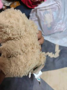 Cute Teddy Bear jellycat