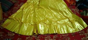 Shimmery Half Stitched Skirt