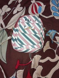 Small And Trendy Sling Bag