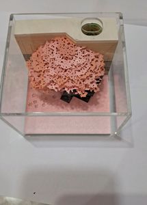 3D Marriage Tree Creative Showpiece &amp; PEN HOLDER