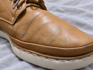 Original Goldlion Genuine Leather Shoes