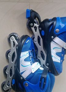Blue Roller Skates