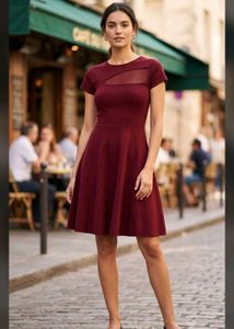 Elegant Burgundy Skater Dress