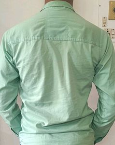 Mint Green Printed Shirt