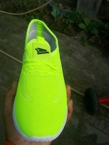 GREEN And WHITE SHOE FOR MEN